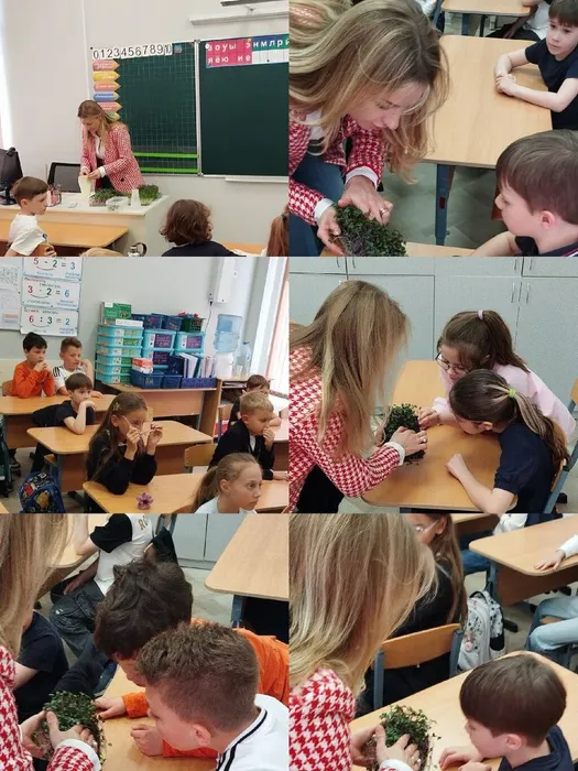 photo_2025-05-13_19-12-47 (2)