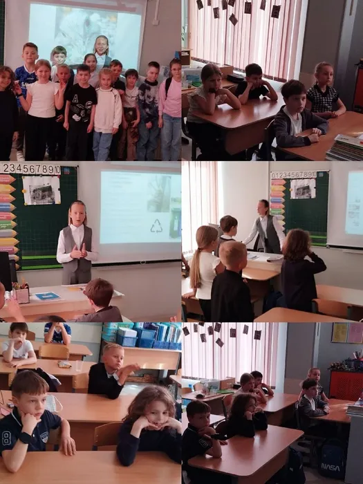 photo_1_2025-04-10_20-27-44